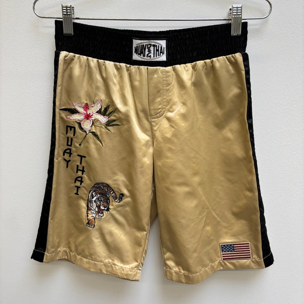 Dolce & Gabbana Muay Thai Embroidered Shorts
